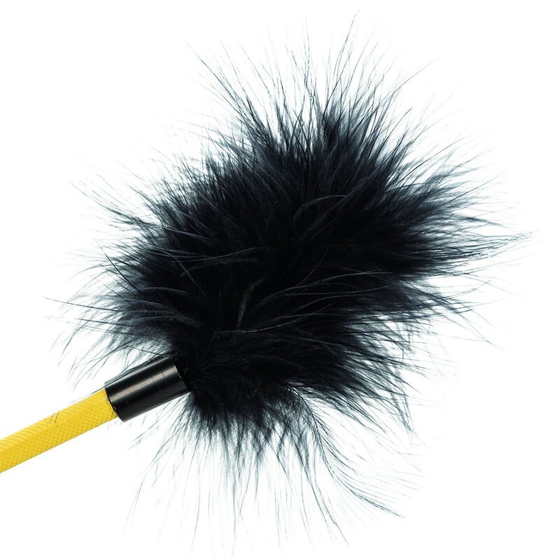 CALEXOTICS - BOUNDLESS CULTURA DE PENAS - Image 4