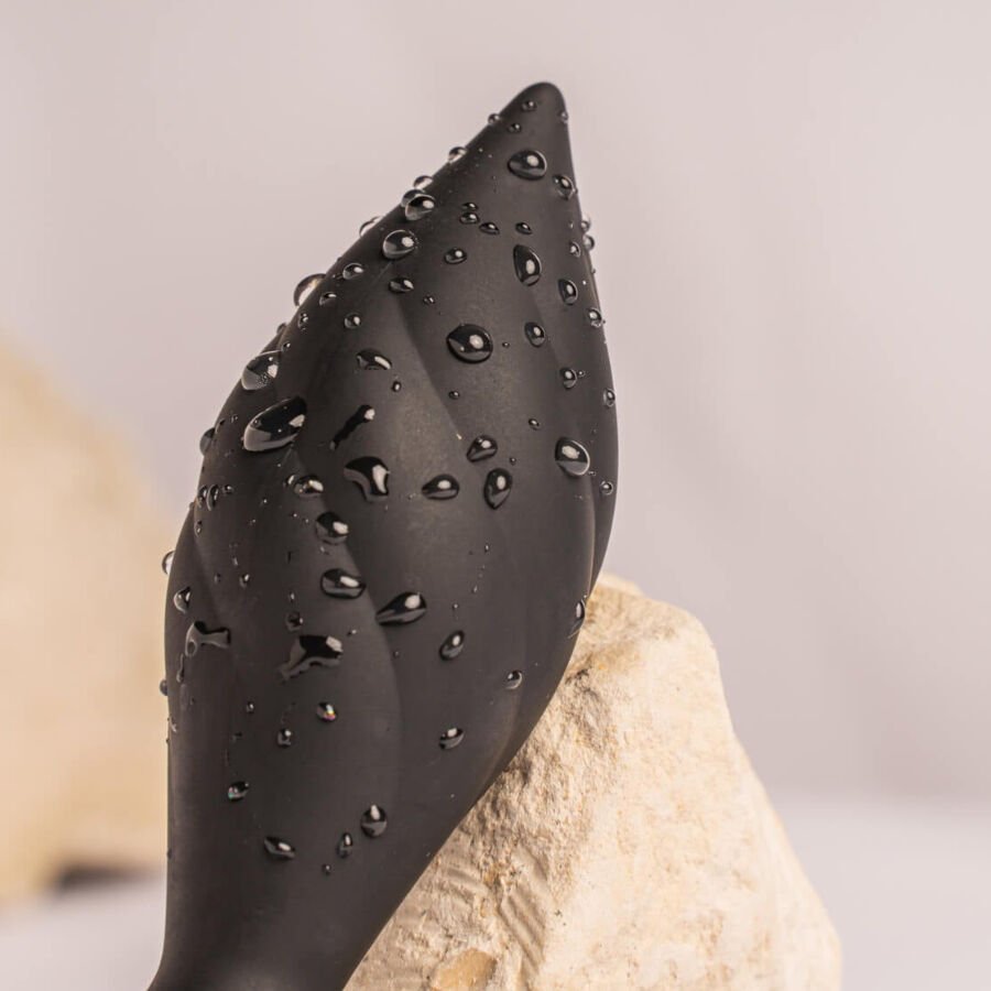ROCKS-OFF - PLUG ANAL PETITE SENSATIONS DESIRE COM CONTROLE REMOTO PRETO - Image 4