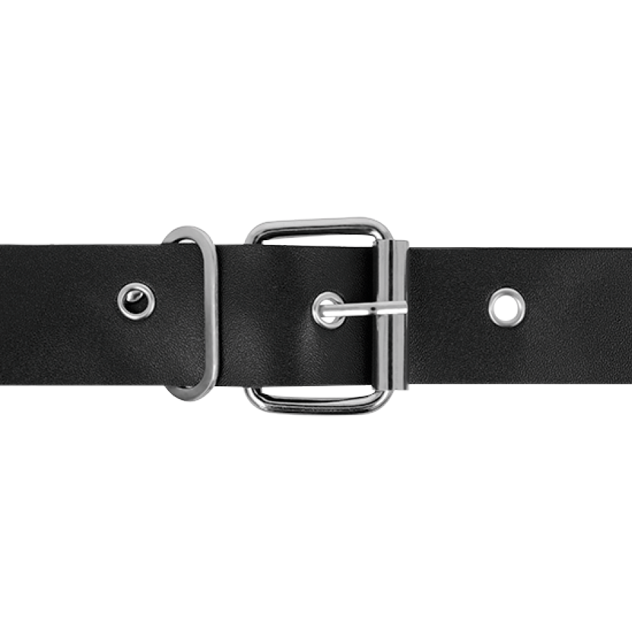 HARNESS ATTRACTION - RNES TAYLOR DELUXE 18 CM -O- 4.5 CM - Image 4
